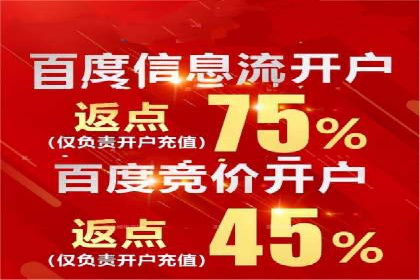 某零售企业网络推广竞价的成功策略分享